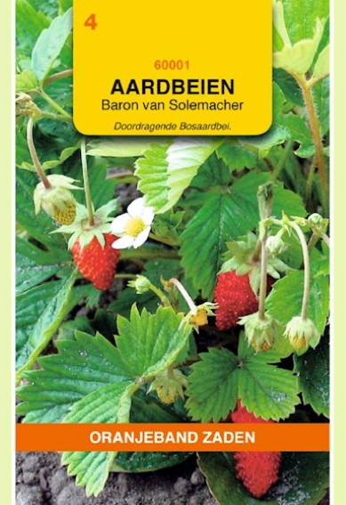 Wald-Erdbeere Baron von Solemacher (Fragaria) 850 Samen OBZ